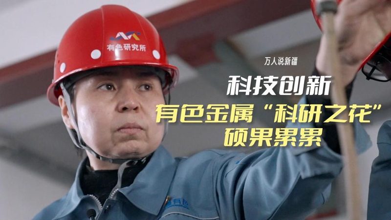 软件测试流程文档：构建高质量软件的基石